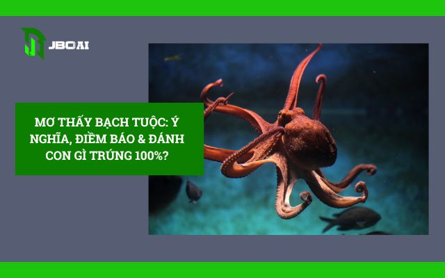 Mơ Thấy Bạch Tuộc: Ý Nghĩa, Điềm Báo & Đánh Con Gì Trúng 100%?